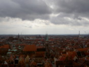 Many red roofs...