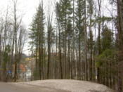 Walking up to Neuschwanstein