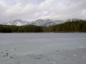 People tossed stones onto the ice, but they didn't go through
