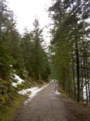 The path through the lakeside forest - free of snow