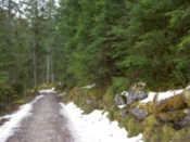 Snow lines the path