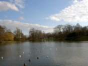 The lake in front of the new town hall