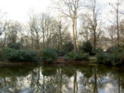 Another smaller pond