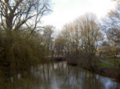 Along the river