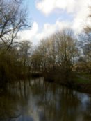Another one of the river