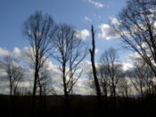 Another one...I like the clouds in this one