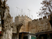 The old town walls, from the inside
