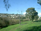 Tanger in the distance