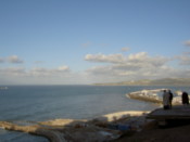 The harbor