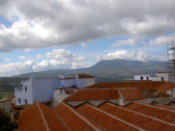 Red rooftops