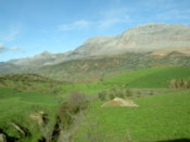 Another amazingly green view