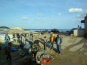 People selling fish and sea food
