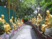 Pathway leading to Temple of Ten Thousand Buddhas