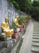 Pathway leading to Temple of Ten Thousand Buddhas
