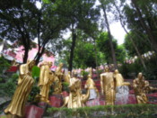 Pathway leading to Temple of Ten Thousand Buddhas