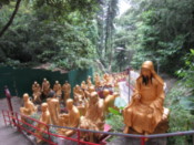 Pathway leading to Temple of Ten Thousand Buddhas
