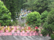 Pathway leading to Temple of Ten Thousand Buddhas