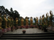 Buddhas