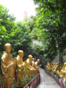Pathway leading to Temple of Ten Thousand Buddhas