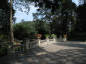 At a park in the center