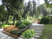 At a park in the center