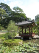 The park's Korean Friendship Garden