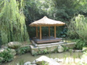 At a park in the center