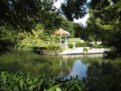 At a park in the center