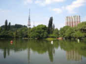 At a park in the center