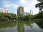 At a park in the center