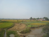 View from the train window
