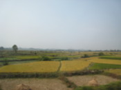View from the train window