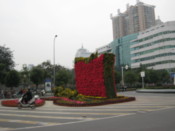 Flowers near the center
