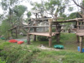 The panda kindergaten