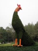 Giant cock in a park