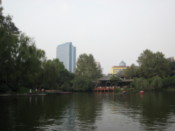 In the people's park