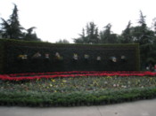 In the people's park