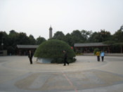 In the people's park