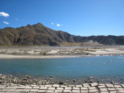 By the river Lhasa