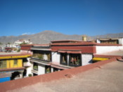 View from the roof