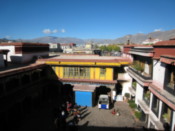 View from the roof