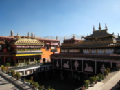 View from the roof