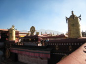 On the roof