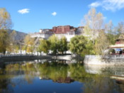 Portola Palace from the park opposite it
