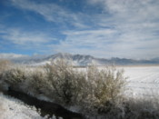 Snow covered fields