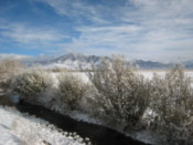 Snow covered fields