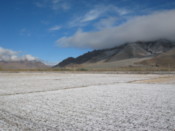 Snow covered fields