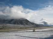 Snow covered fields