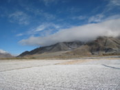 Snow covered fields