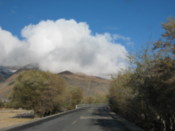 Along the road